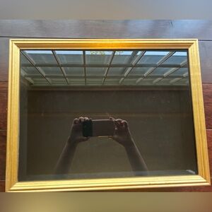 Connoisseur Gold Framed Rectangular Shadow Box